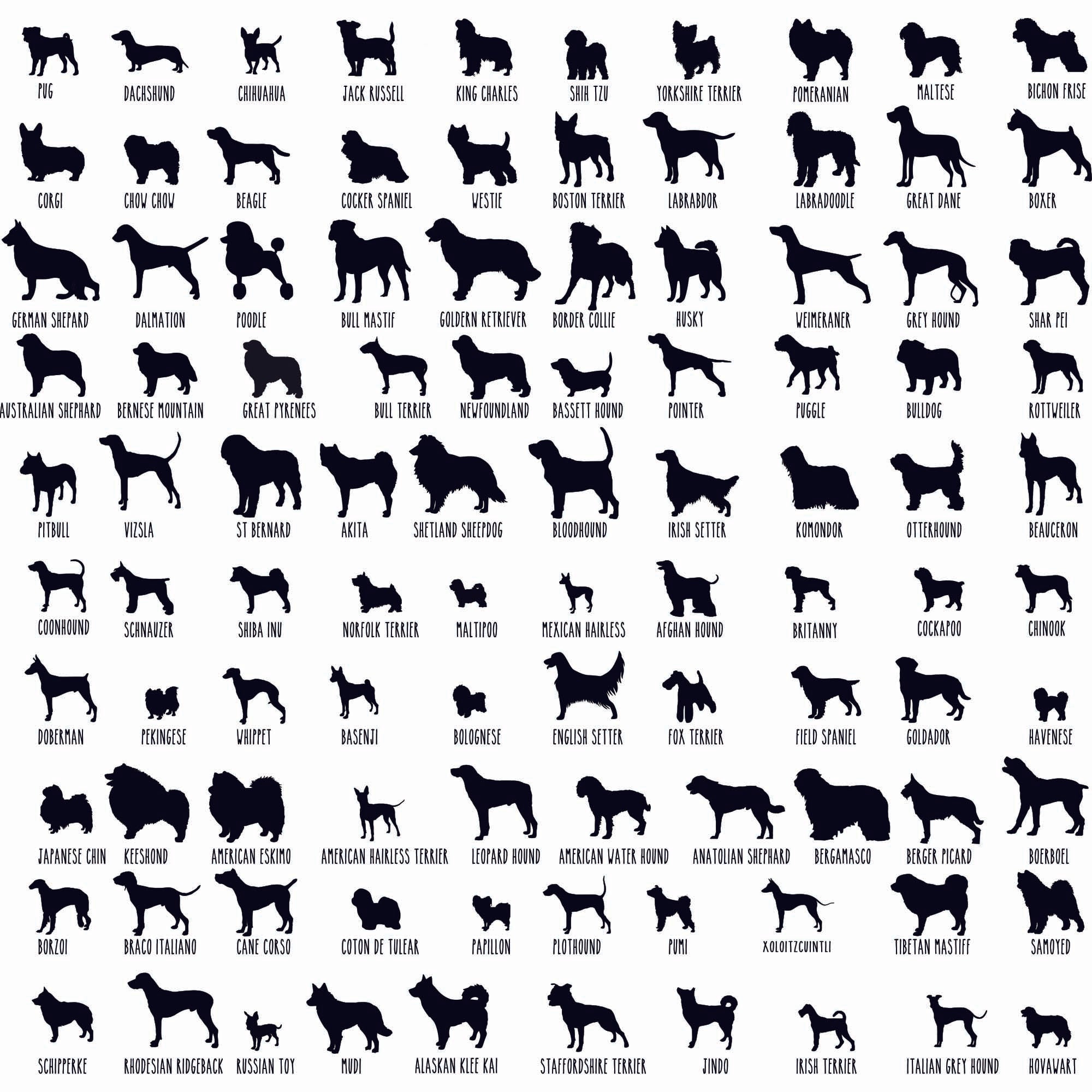 Personalized Dog Heart Sign - Cool Metal Signs