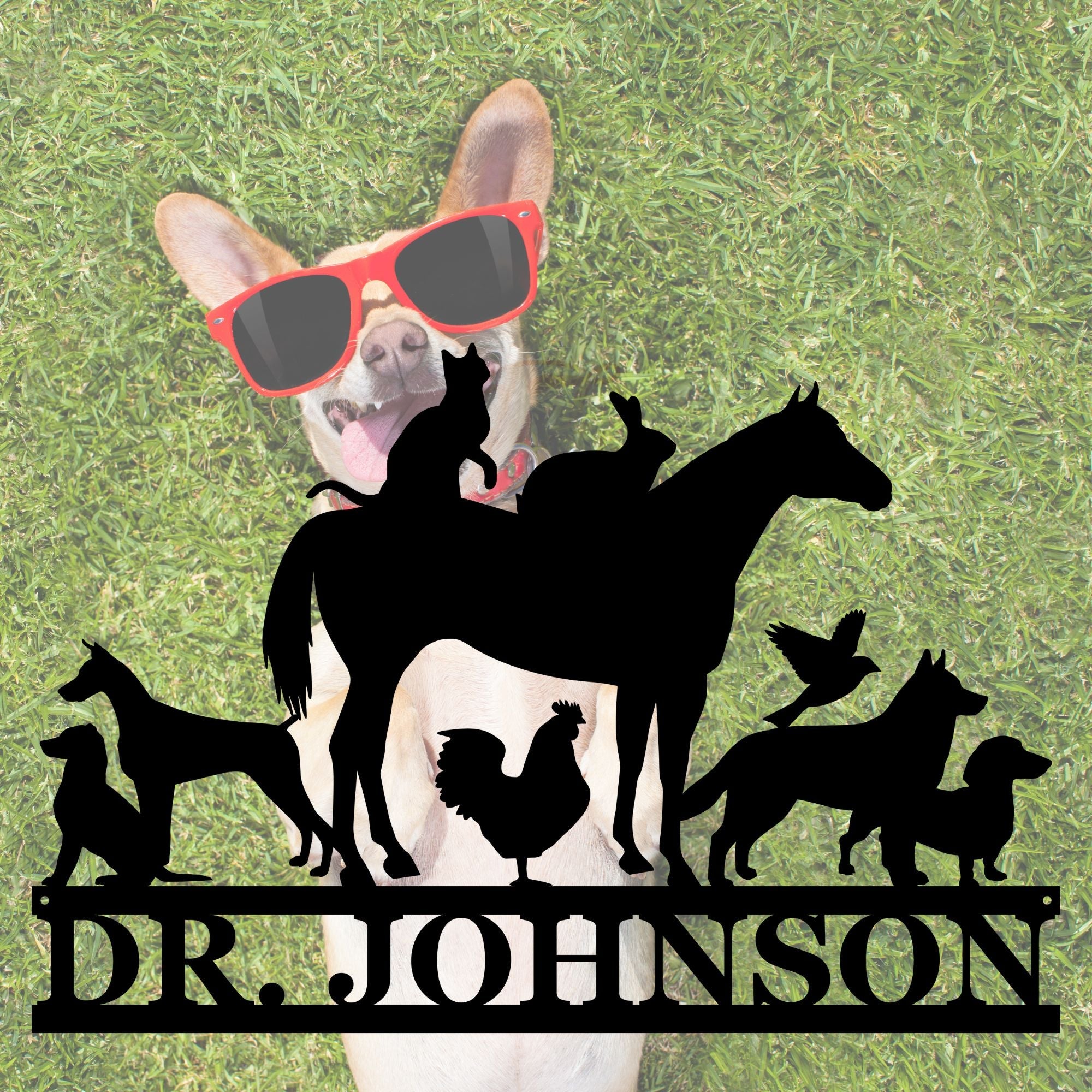Personalized Veterinarian Sign - Cool Metal Signs