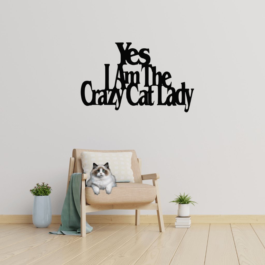 Crazy Cat Lady - Cool Metal Signs